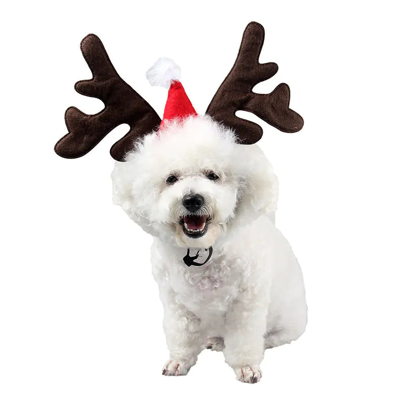 Christmas Reindeer Dog Headband 🎅