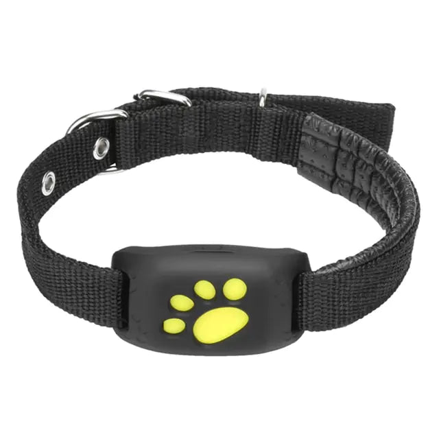 Collier traceur GPS pour animaux