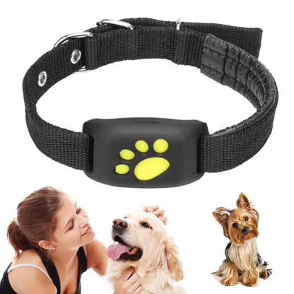 Collier traceur GPS pour animaux